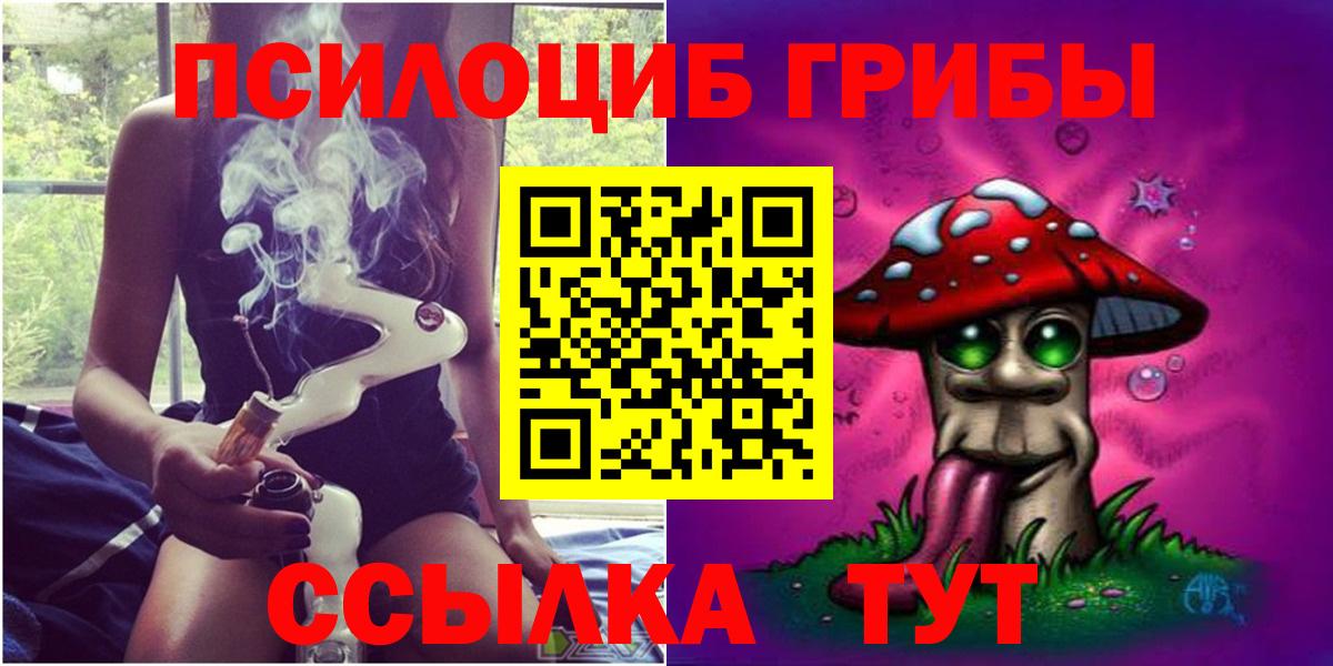 Псилоцибиновые грибы GOLDEN TEACHER  Галлюциногенные грибы Cubensis  Советская Гавань  Вход с VPN 